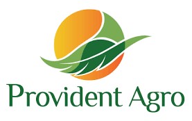 Gaji PT Provident Agro Tbk